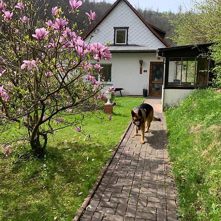 Ferienhaus Andrea Am Bodetal Treseburg Exterior photo