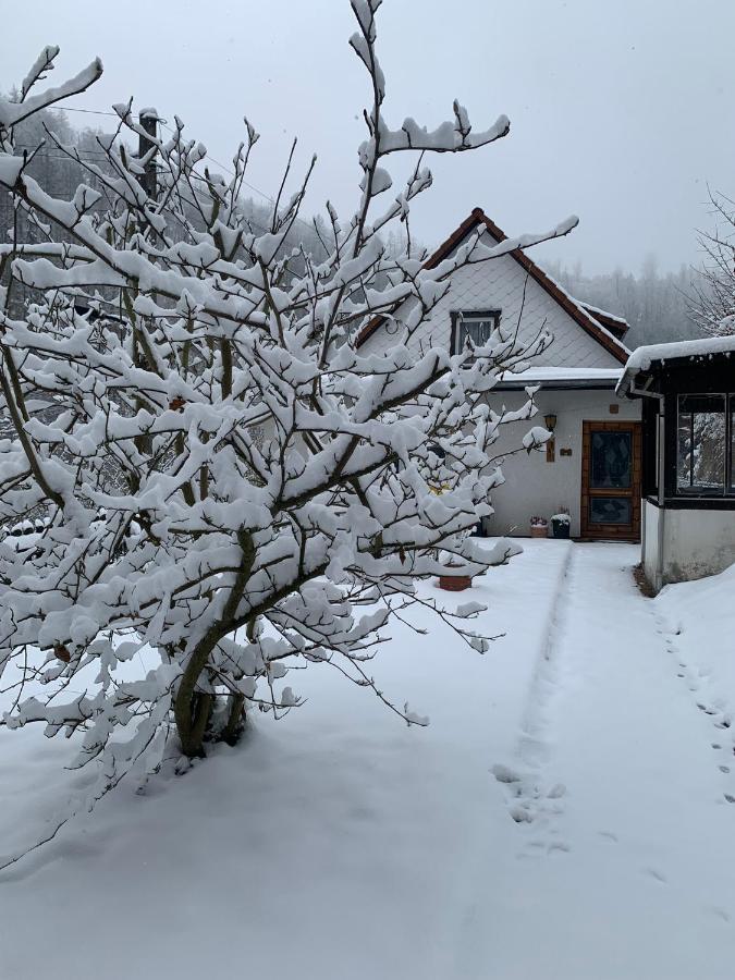Ferienhaus Andrea Am Bodetal Treseburg Exterior photo